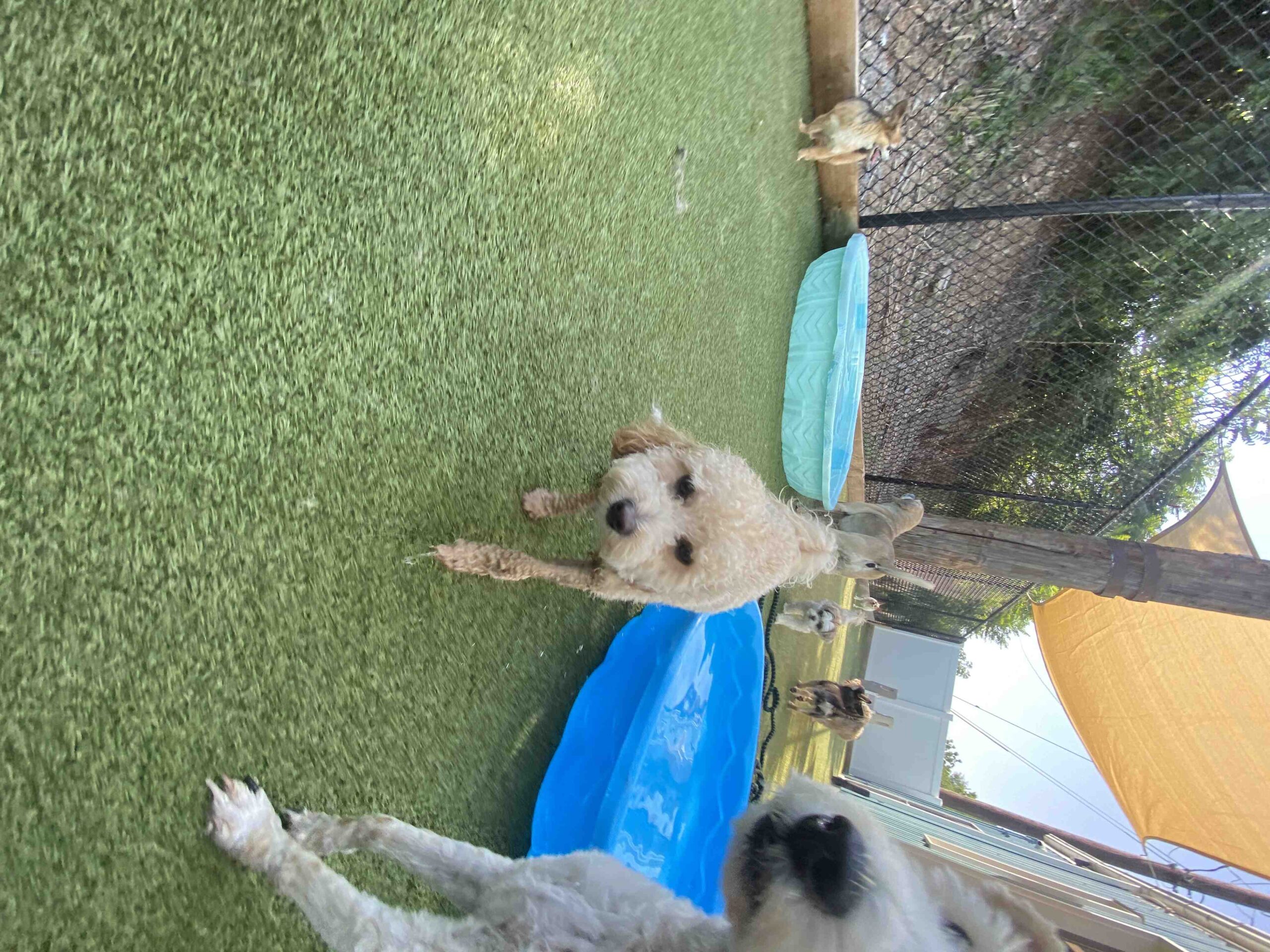 Est-ce que les plantes grasses craignent le gel ?