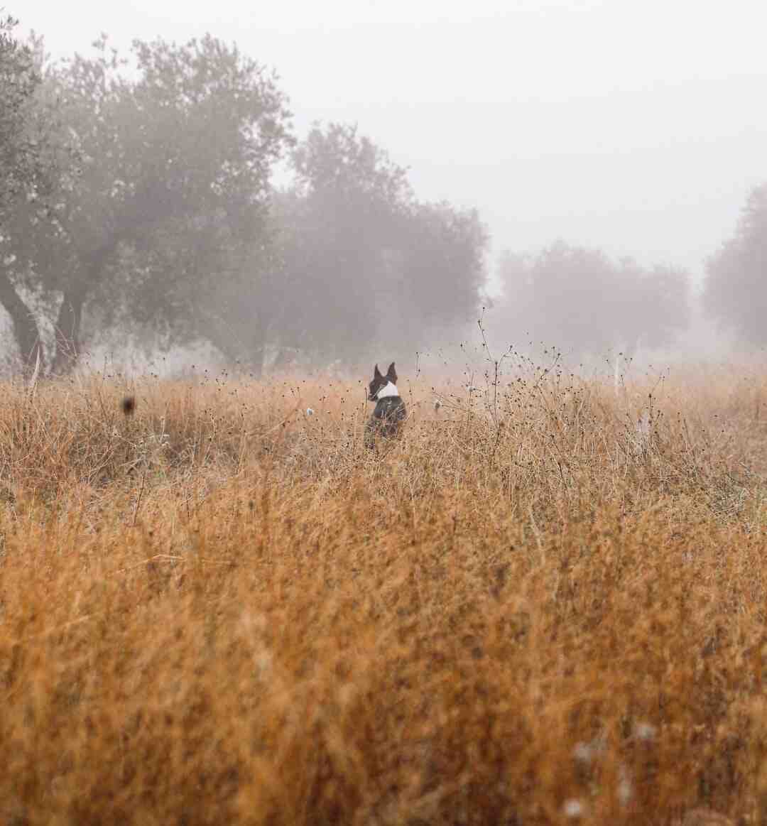 Est-ce que l'immobilier va baisser en 2022 ?