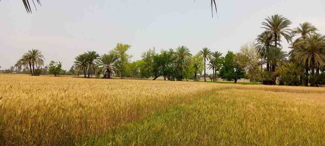 Est-ce qu'un agent immobilier peut baisser sa commission ?