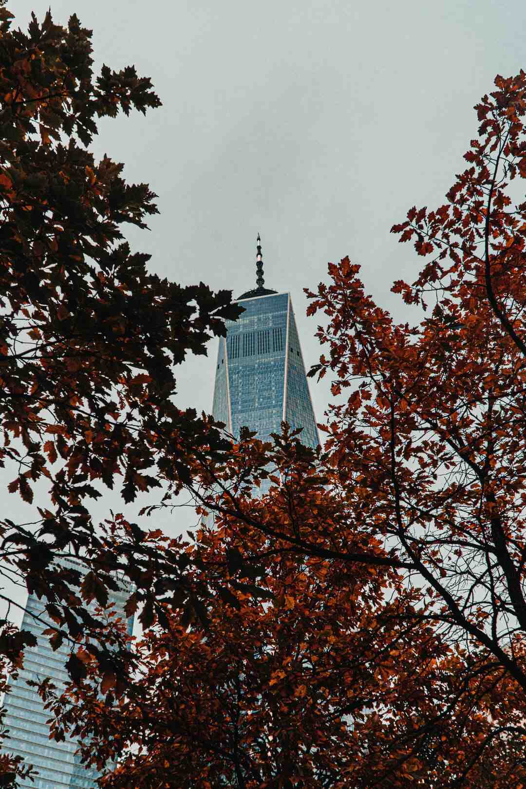 Is Lost Ark open world?