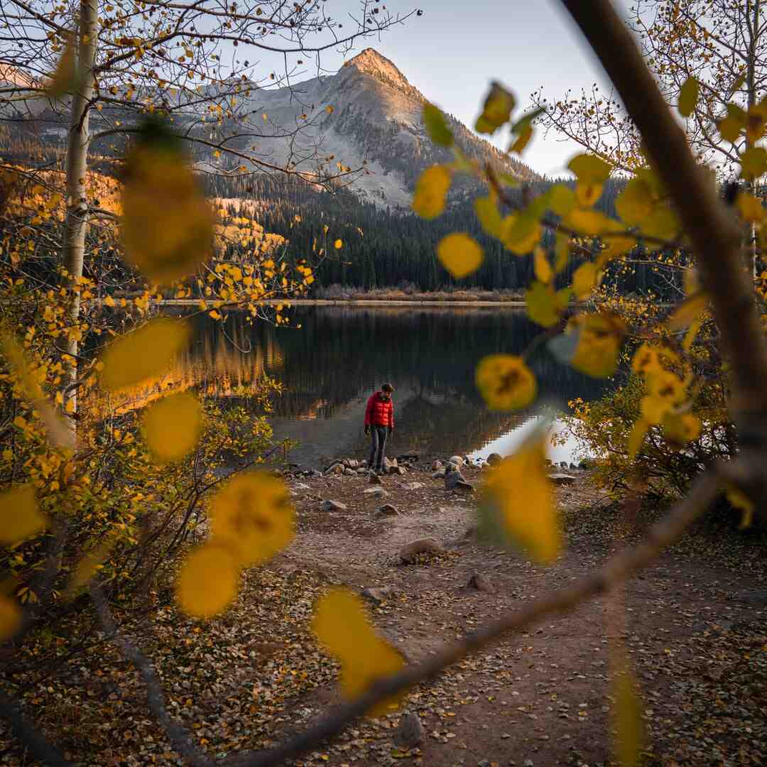 Is Lost Ark still available?