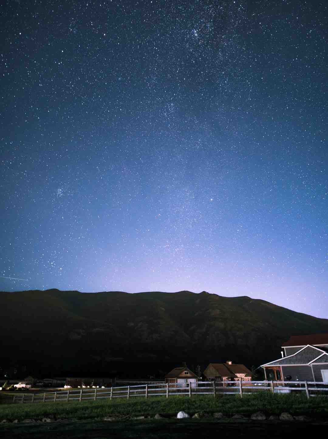 Où est le champi peste ?