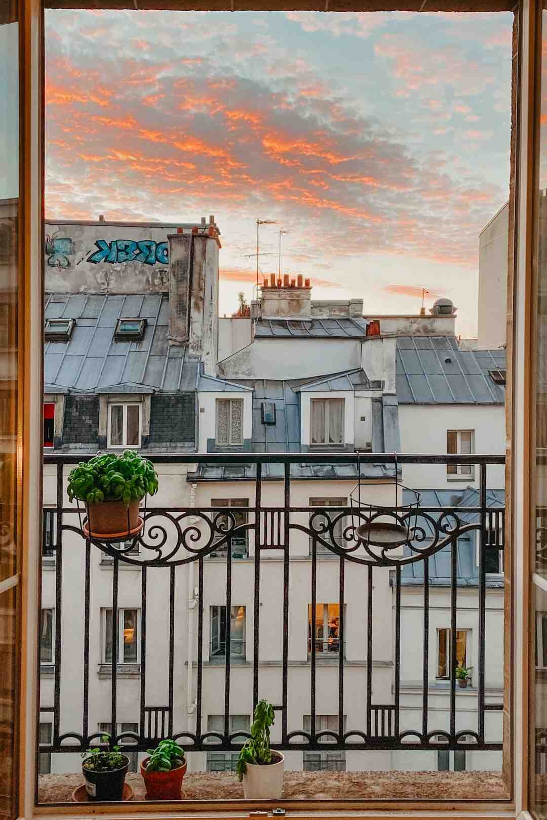 Où est le chêne de Saint-louis ?