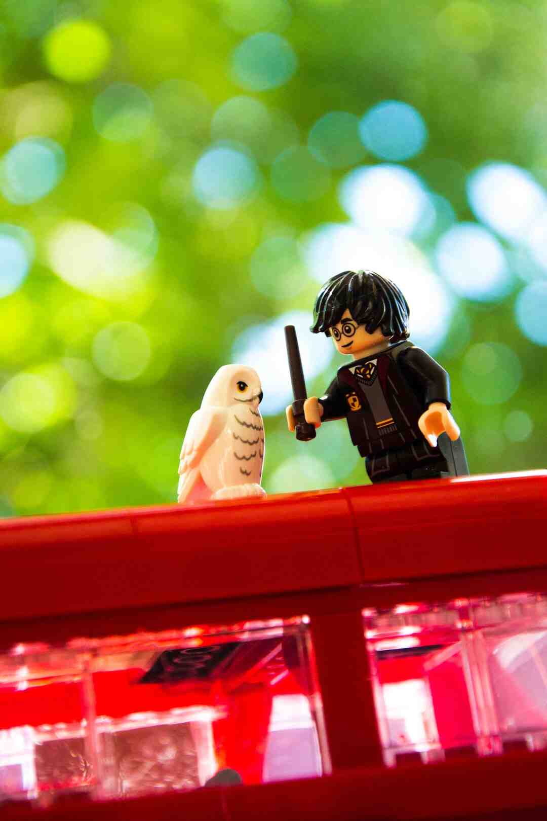 Où habite Dani Lary ?