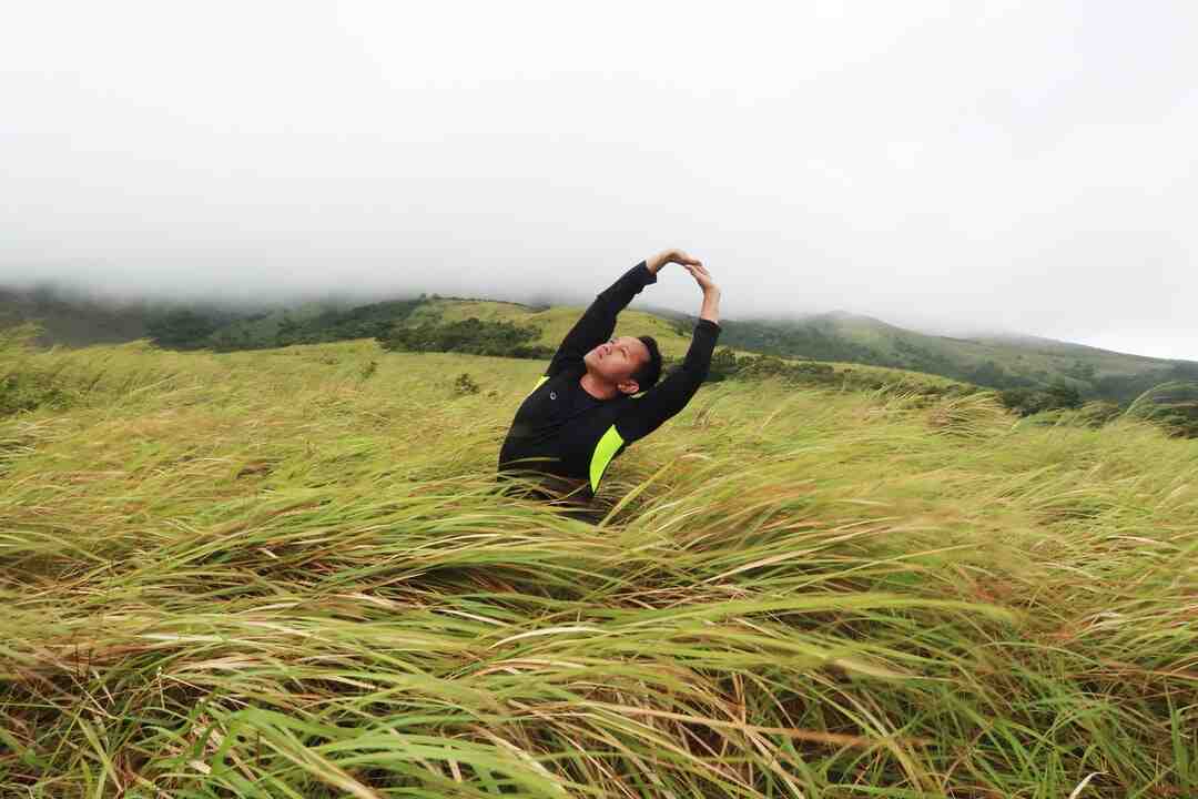 Où regarder les anime en streaming ?