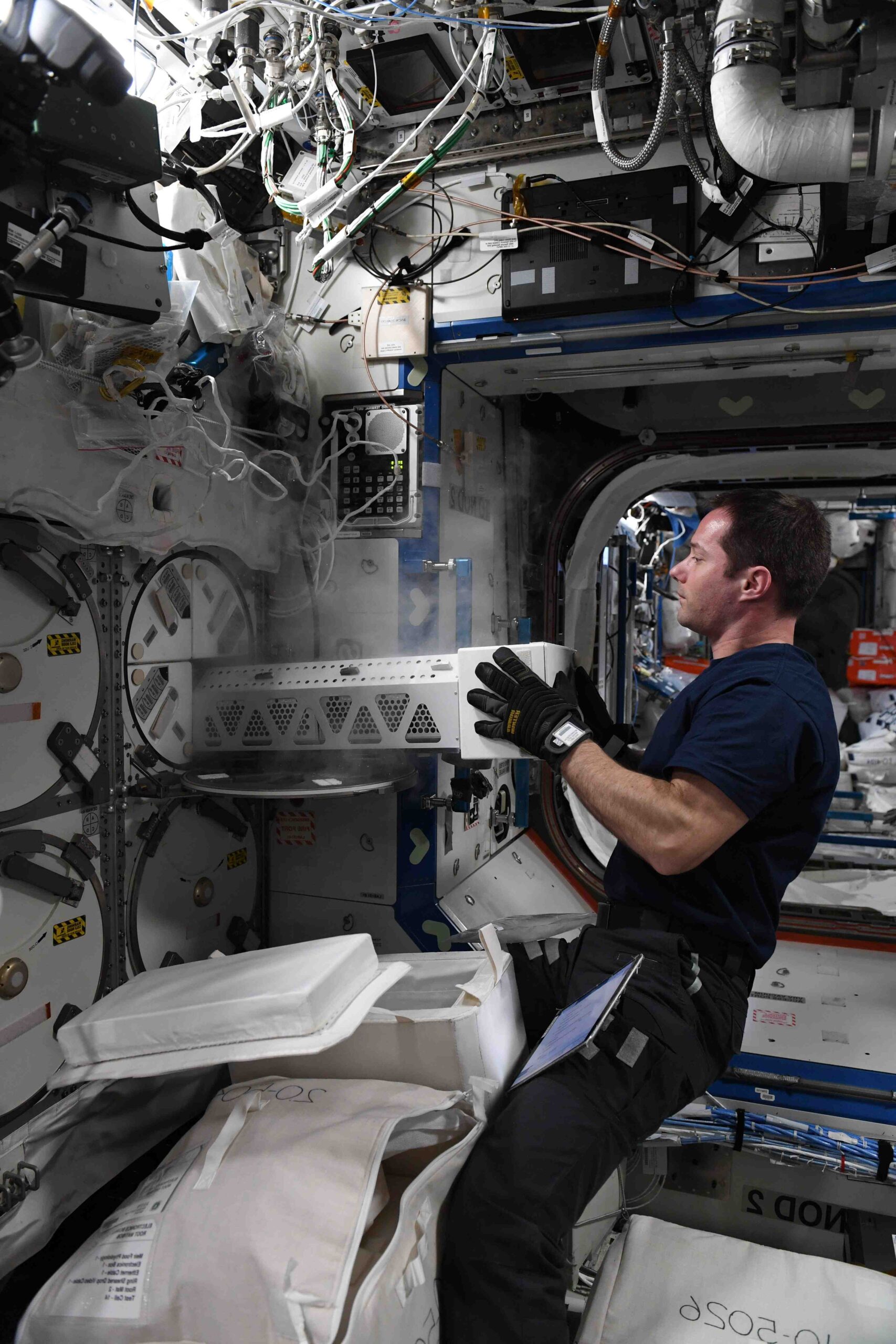 Où se trouve la vitamine D ?