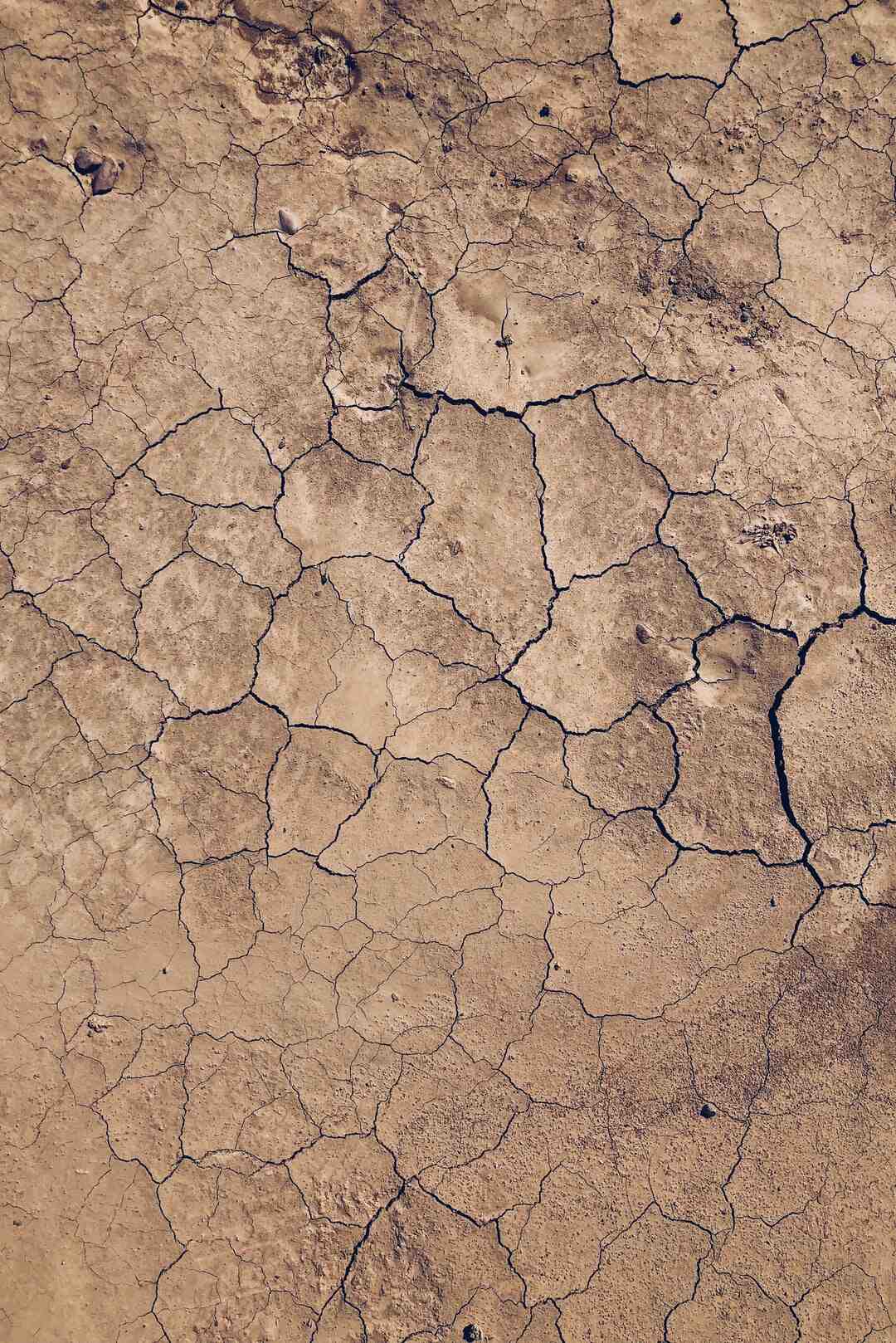 Où trouver foreuse ?