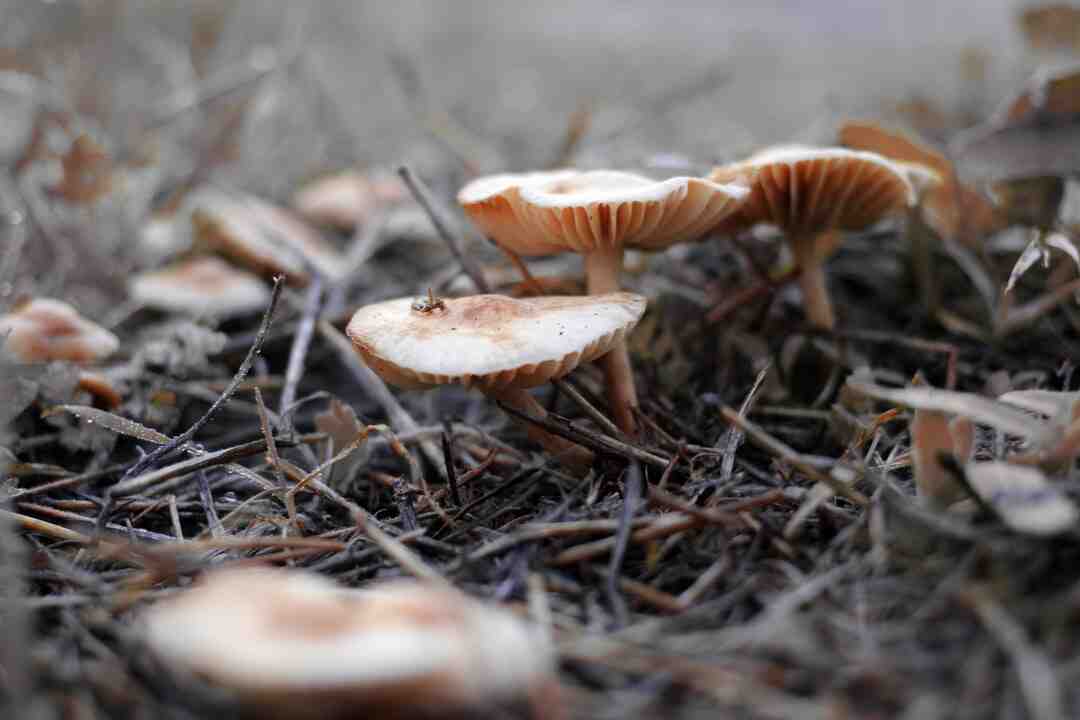 Pourquoi Annecy est cher ?