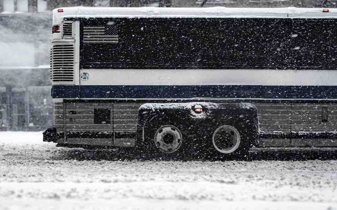 Pourquoi faire une cure d'aloe vera ?