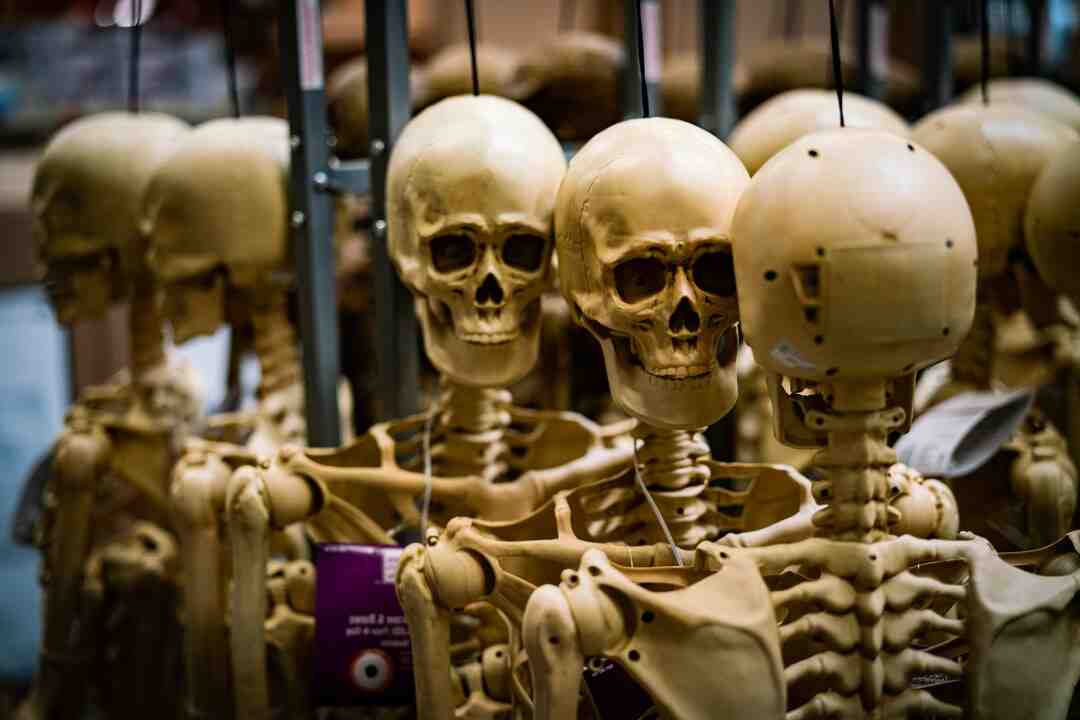 Pourquoi il y a plein de moucherons chez moi ?