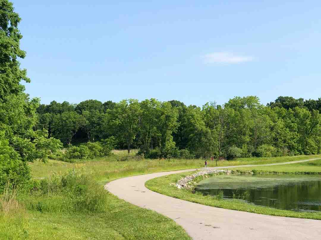 Pourquoi j'ai des moucherons dans mon terreau ?