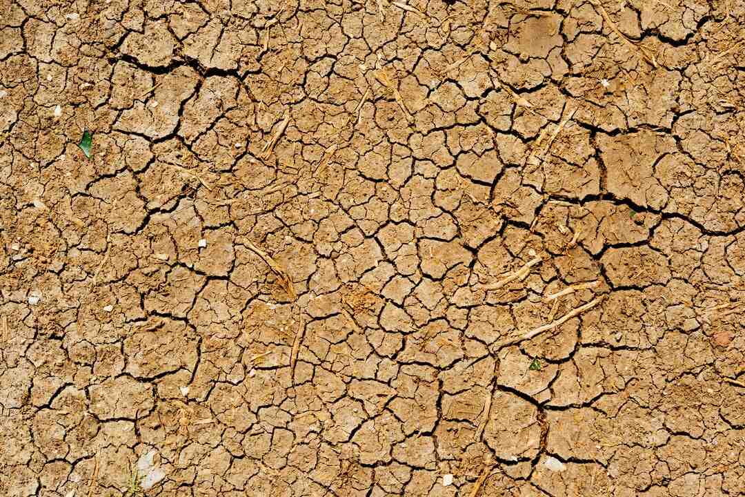 Pourquoi la femme doit prendre soin d'elle ?