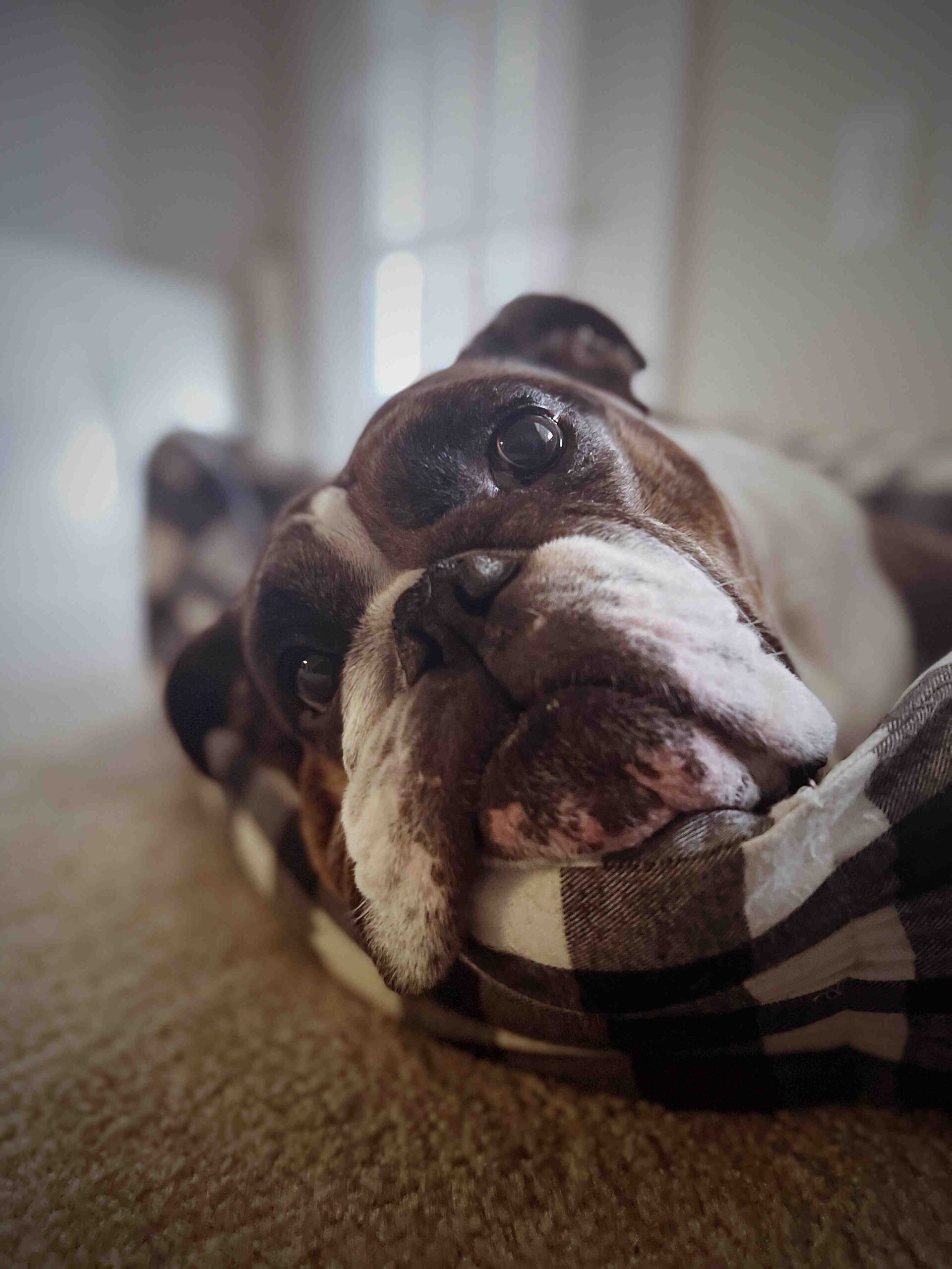 Pourquoi les hommes ne doivent pas se maquiller ?