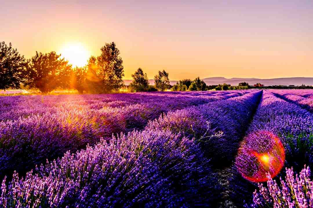 Pourquoi mon VPN bloque certains sites ?