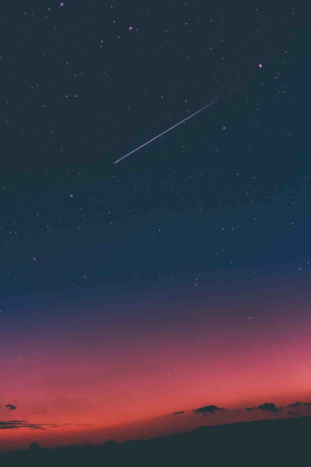 Pourquoi on doit protéger la faune ?