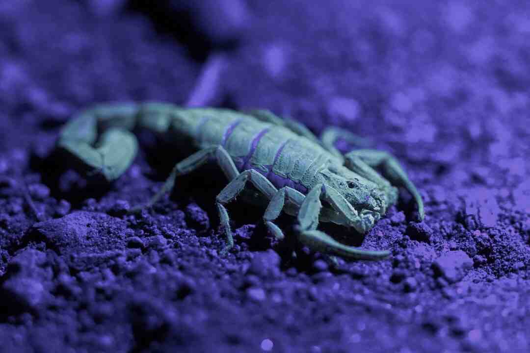 Quand la sciatique disparaît ?