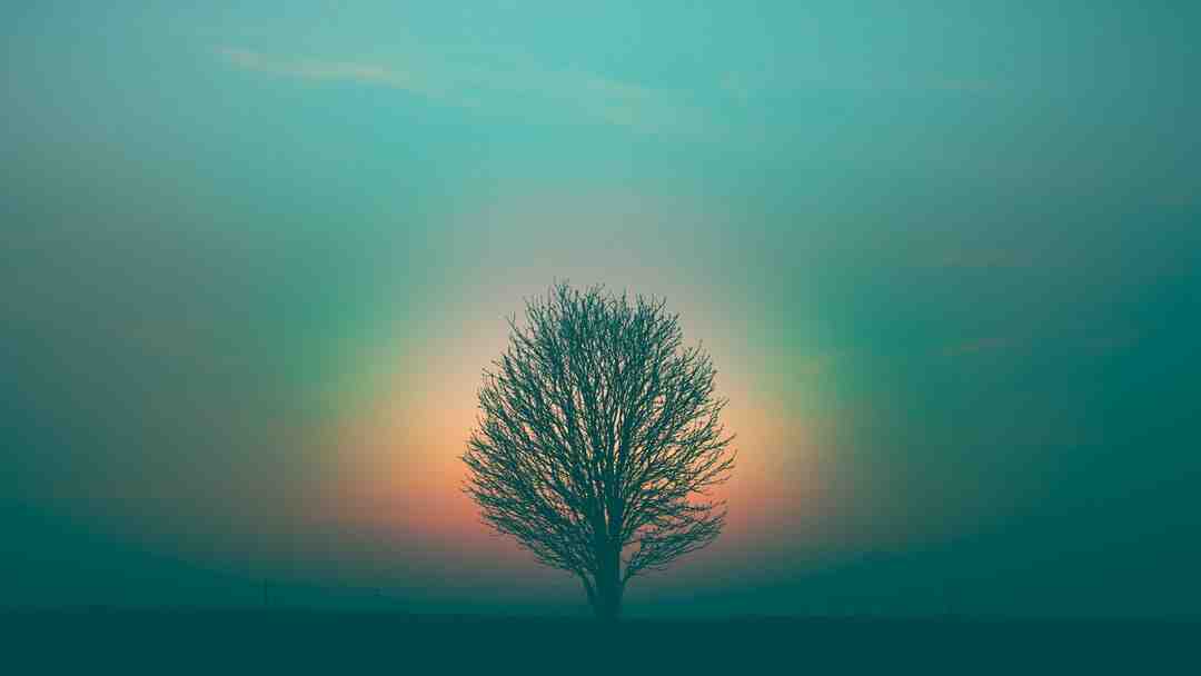 Quand on offre un Porte-monnaie ?