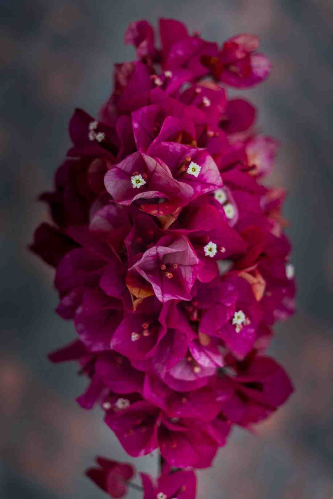 Quand résilier une box ?