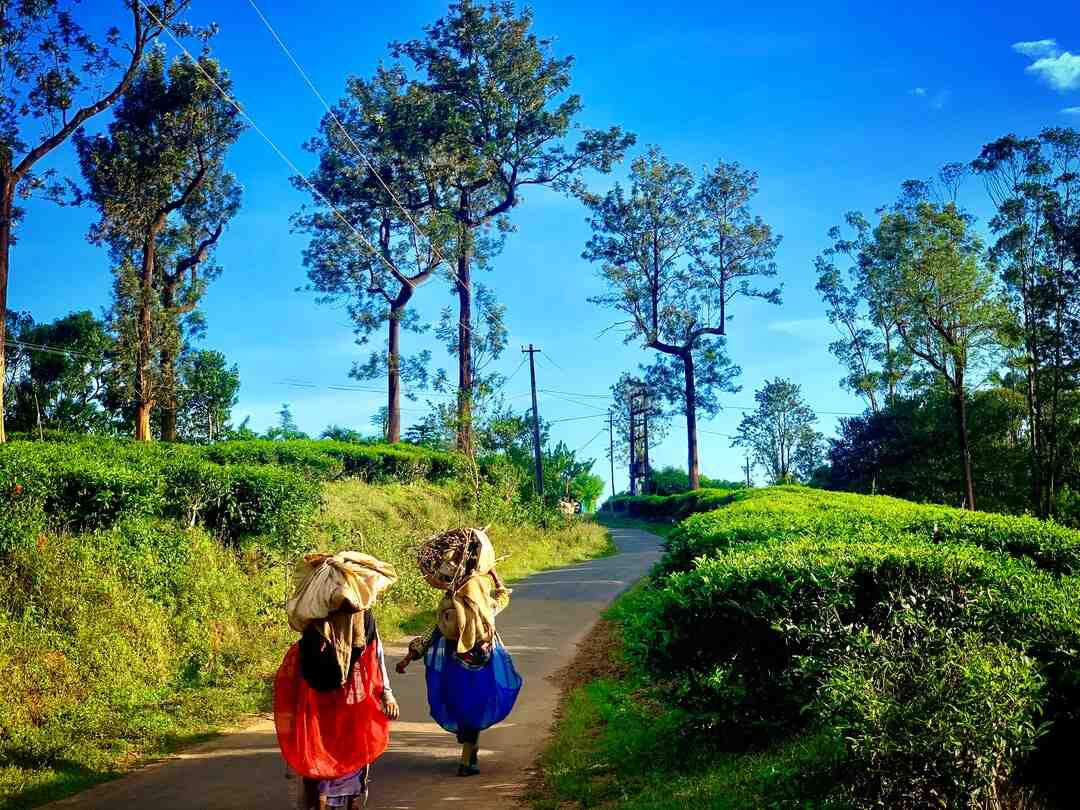 Quand s'arrête les Mise à jour iPhone 6 ?