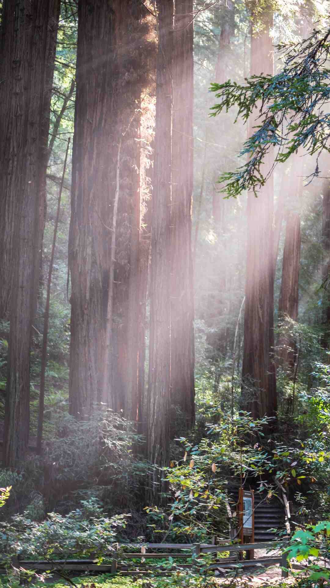 Quel FOV Halo Infinite ?