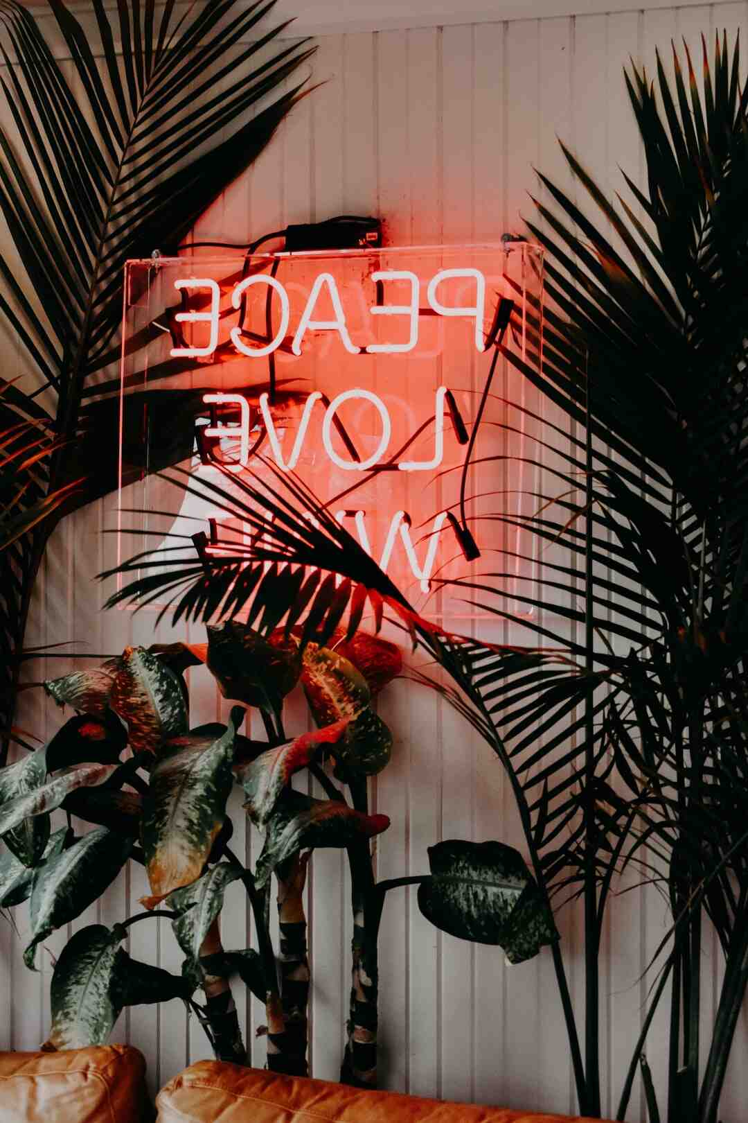 Quel apprêt avant peinture ?