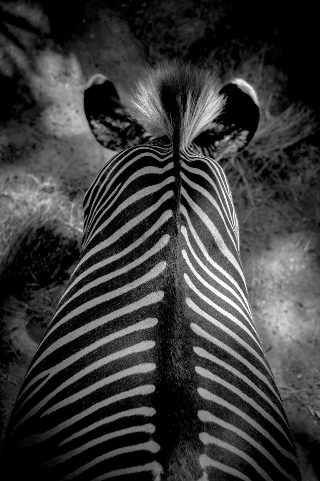 Quel est le VPN le plus fiable ?