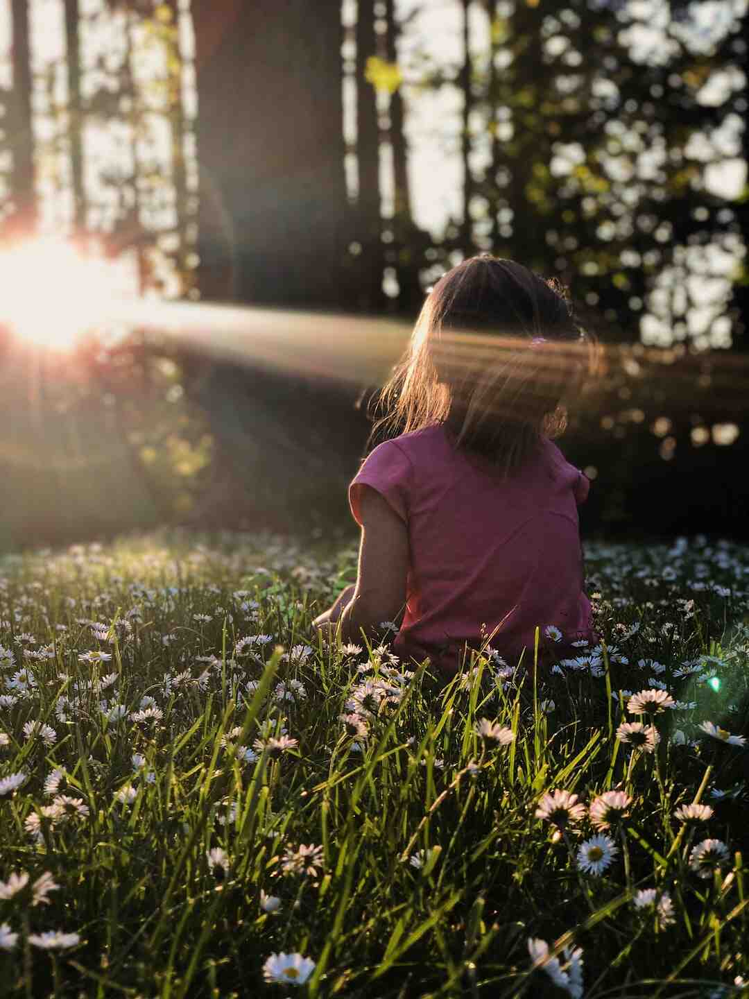 Quel est le meilleur VPN gratuit ?