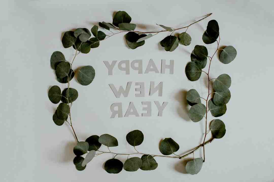 Quel est le meilleur magicien de France ?