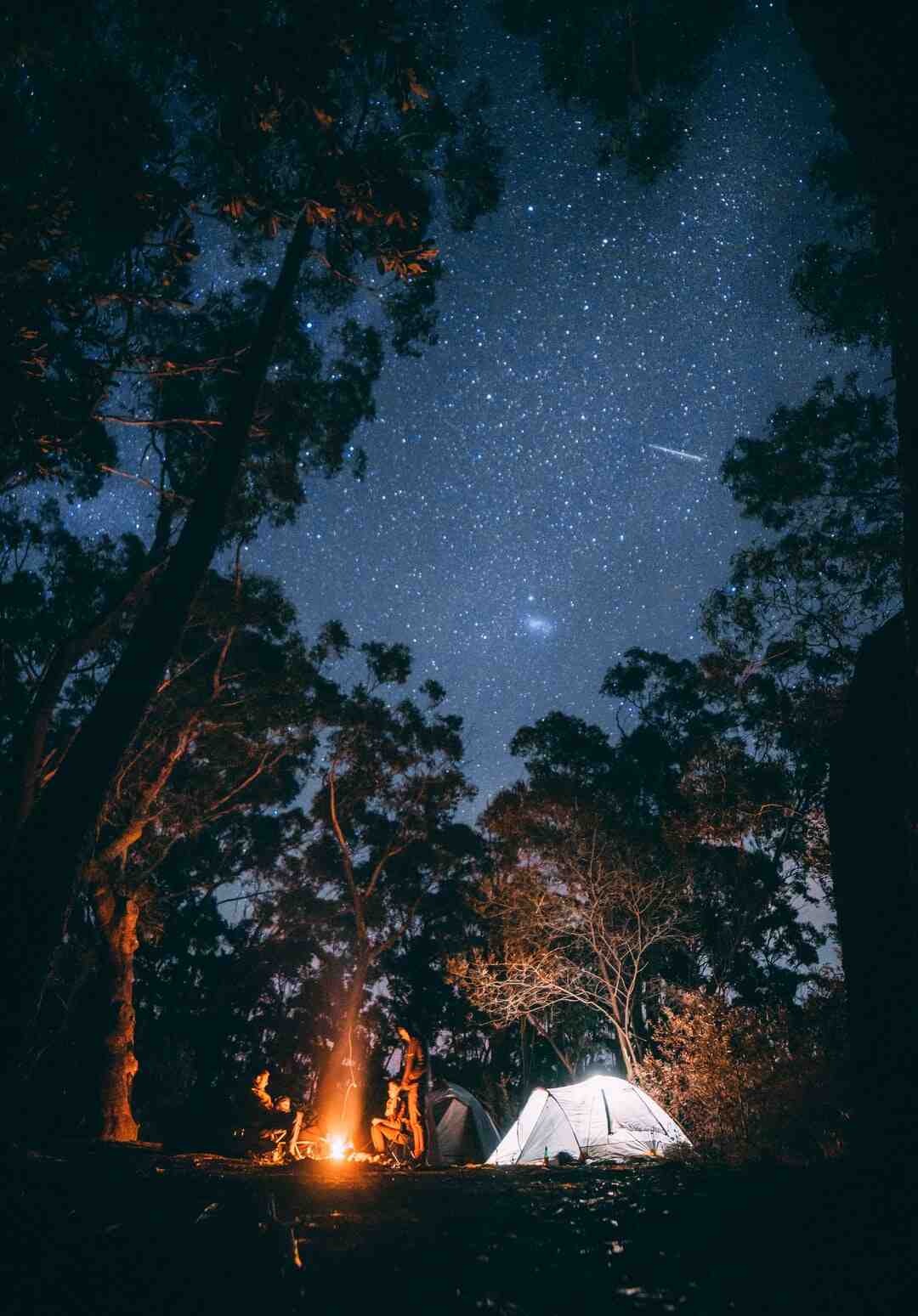 Quel est le meilleur porteur pour un Camping-car ?