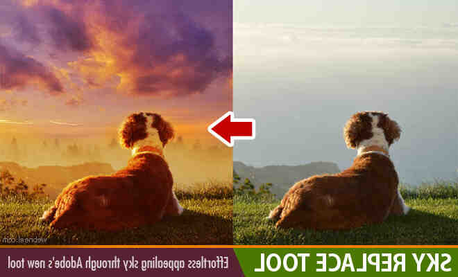 Quel est le meilleur site pour regarder des films ?