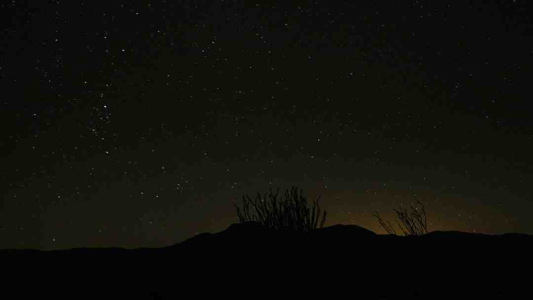 Quel est le savon qui rend la peau lisse ?