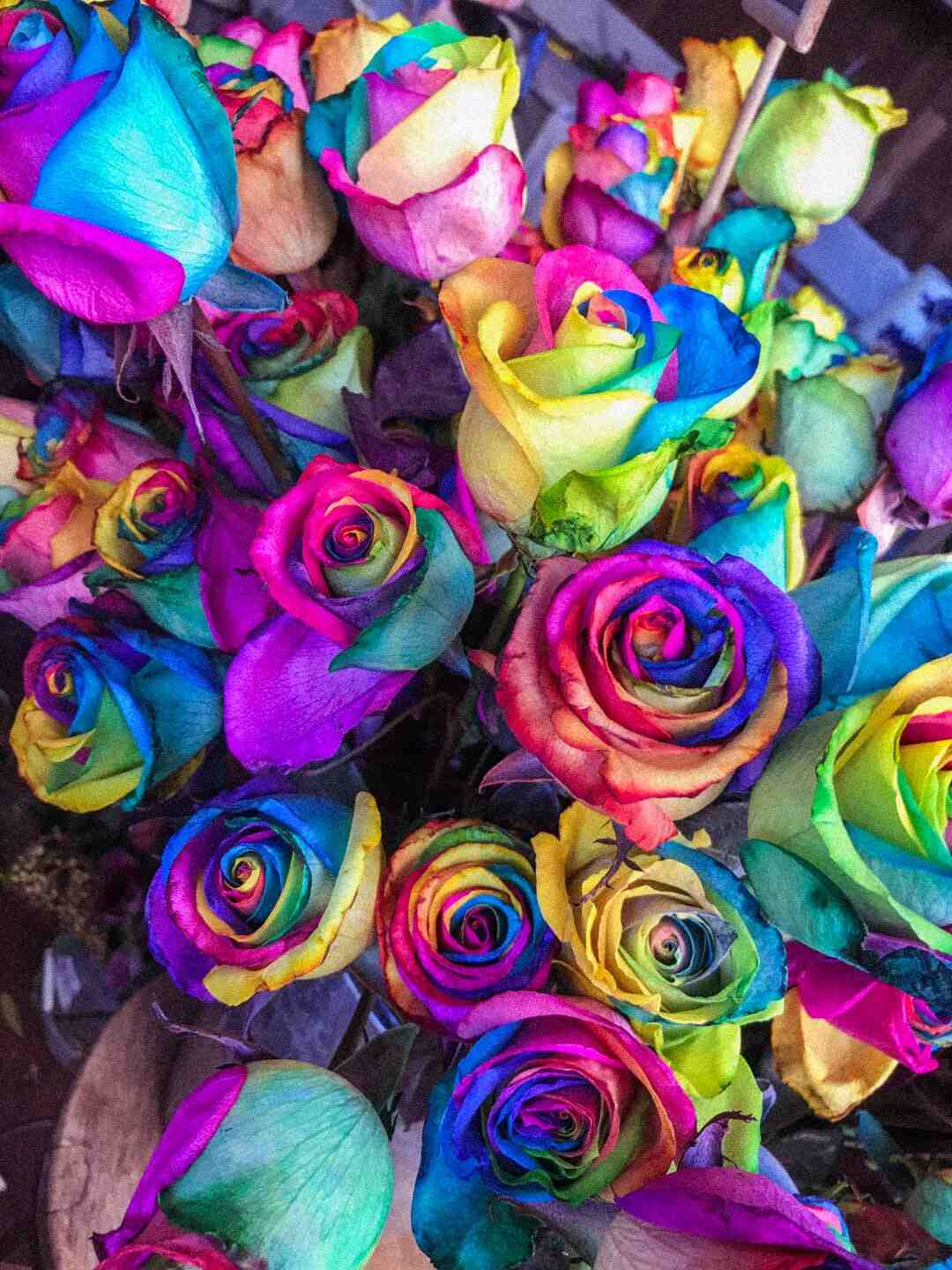 Quel fleur ne meurt jamais ?