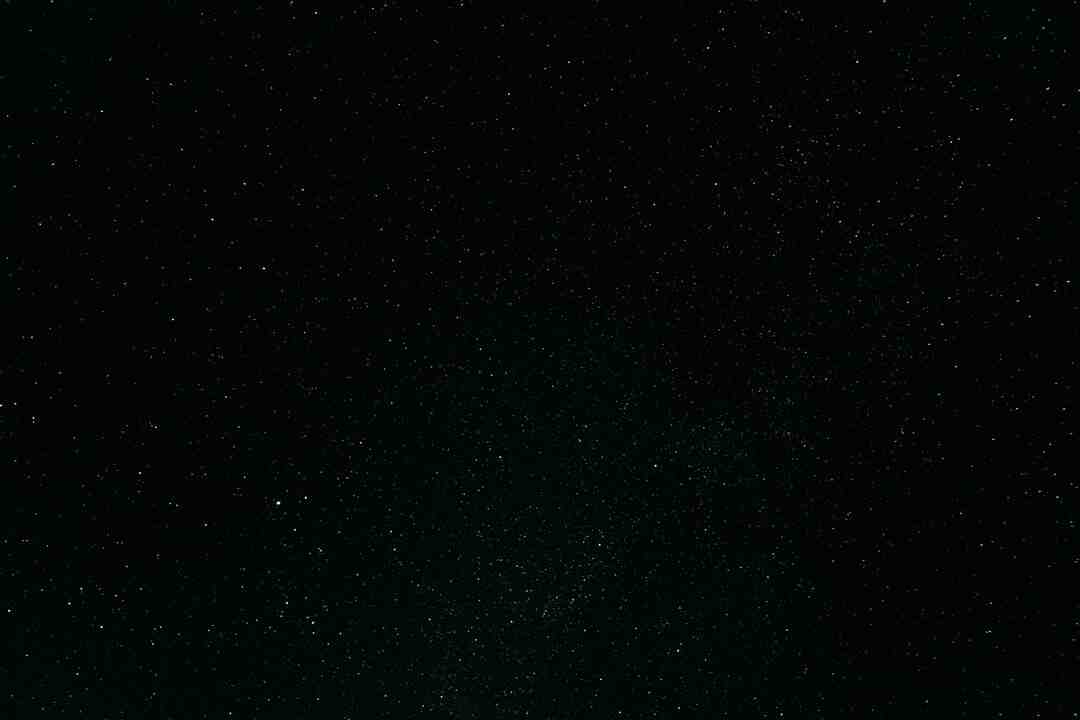 Quel huile pour teint noir ?