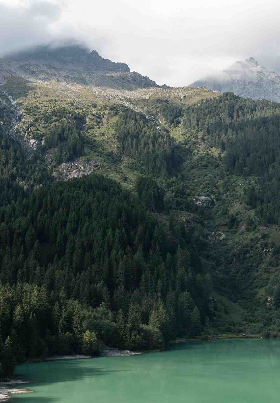 Quel iPhone choisir fin 2021 ?