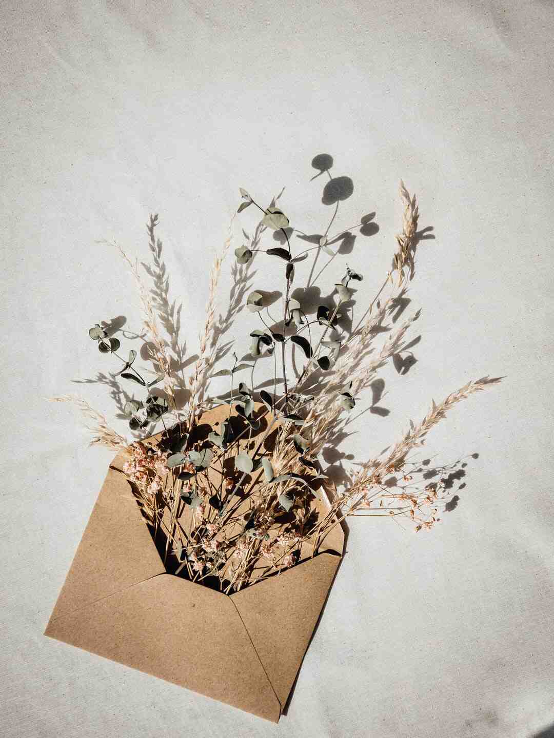 Quel motif pour resilier SFR ?