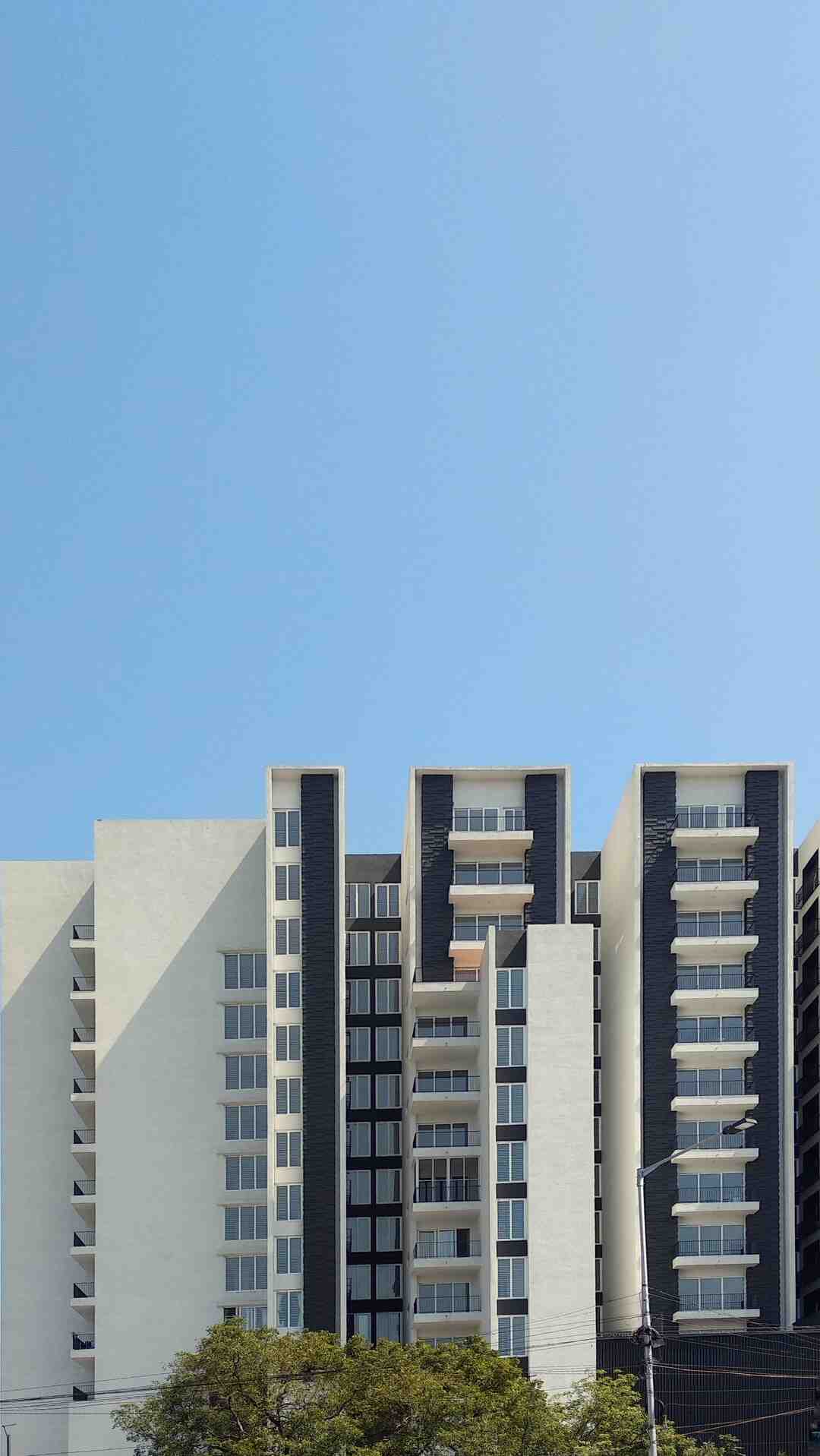 Quel plant ne pas mettre ensemble ?