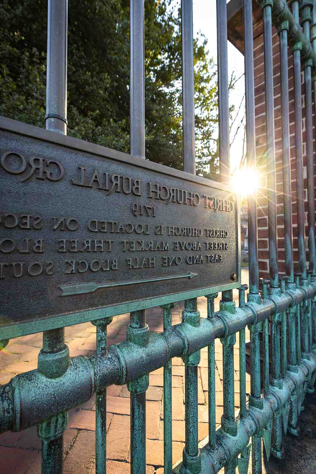 Quel produit pour tuer les moucherons ?