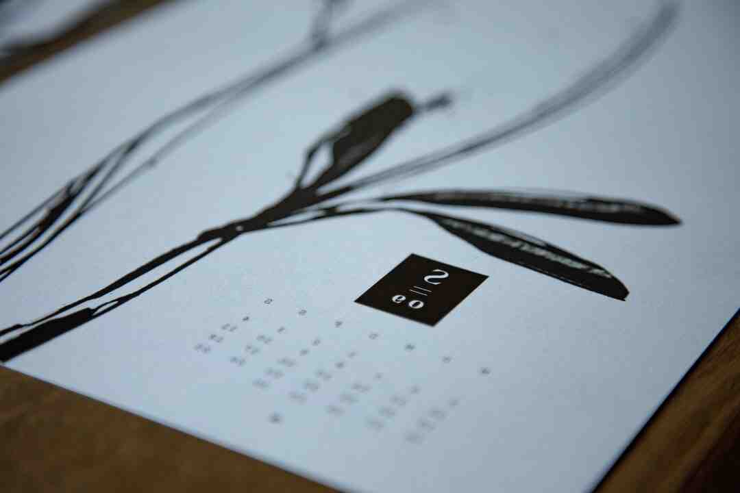 Quel sont les légumes à planter en ce moment ?