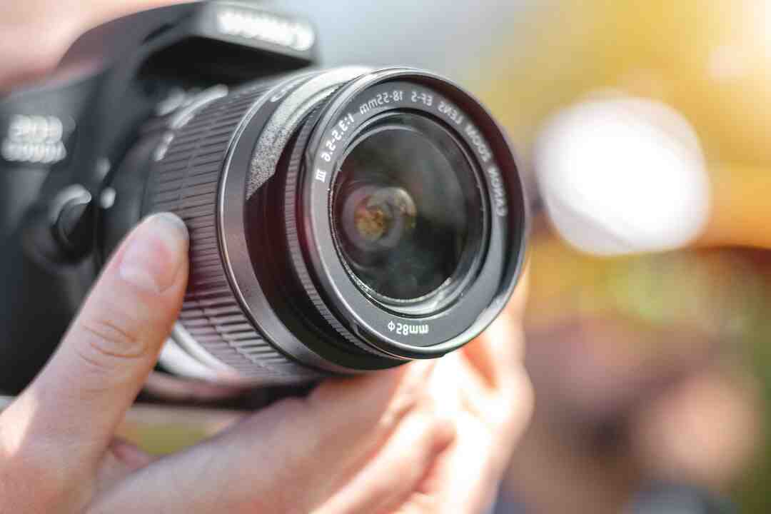 Quel sont les map gratuite Ark ?