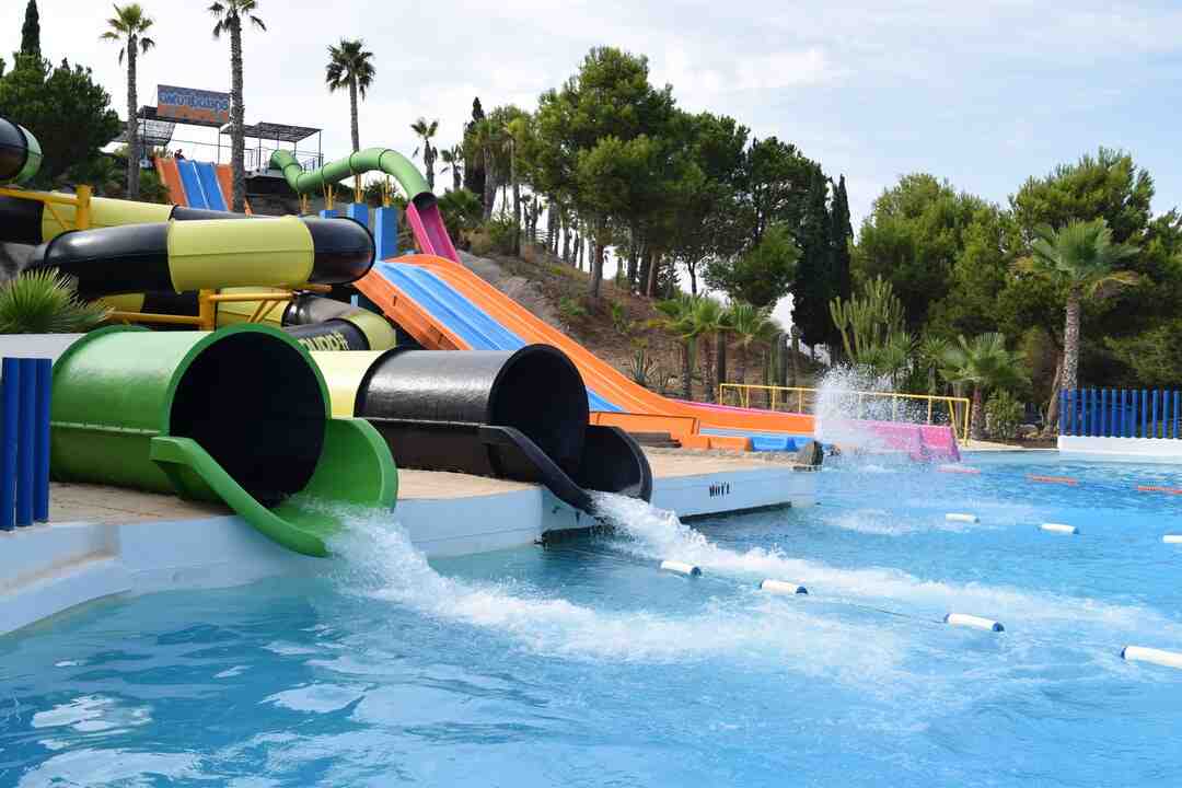 Quel type d'aloe vera choisir ?