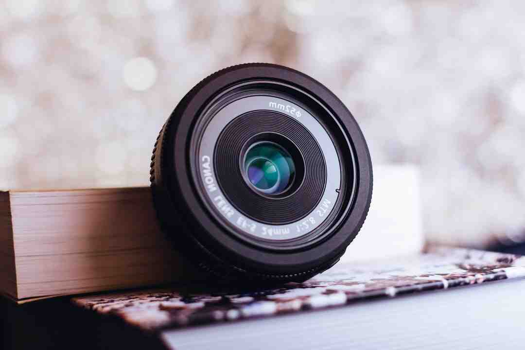 Quel type de jeu est Ark ?