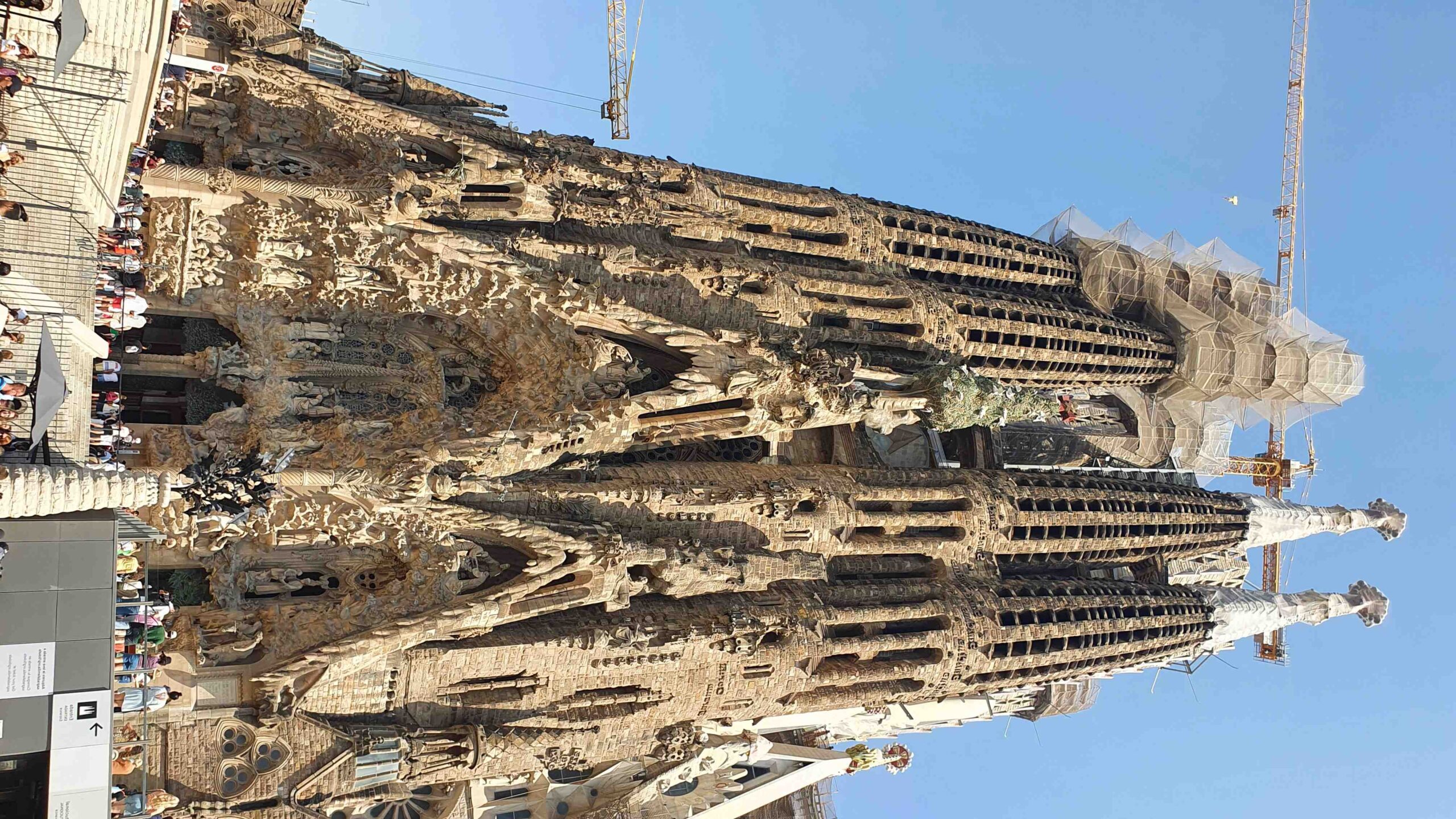 Quelle ampoule choisir pour avoir une lumière blanche ?