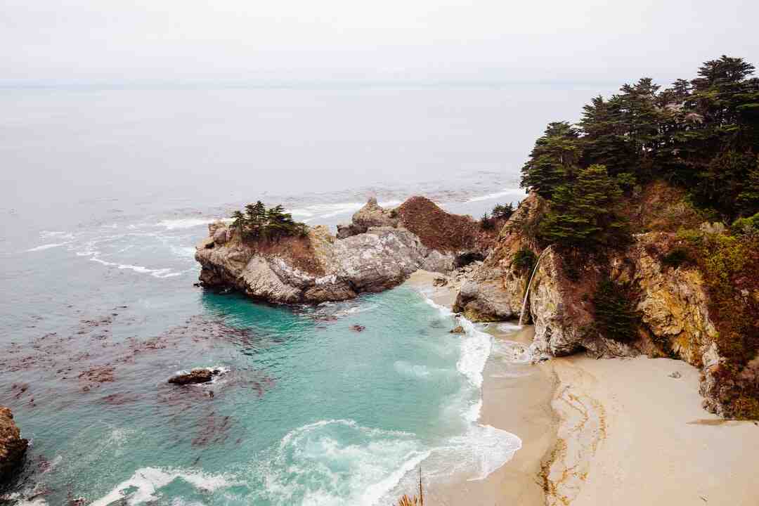 Quelle boisson prendre le matin au petit-déjeuner ?
