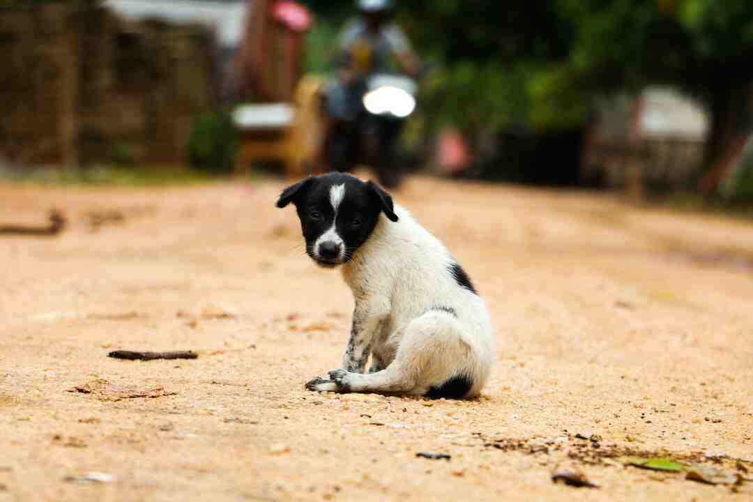 Quelle config pour League of Legends ?