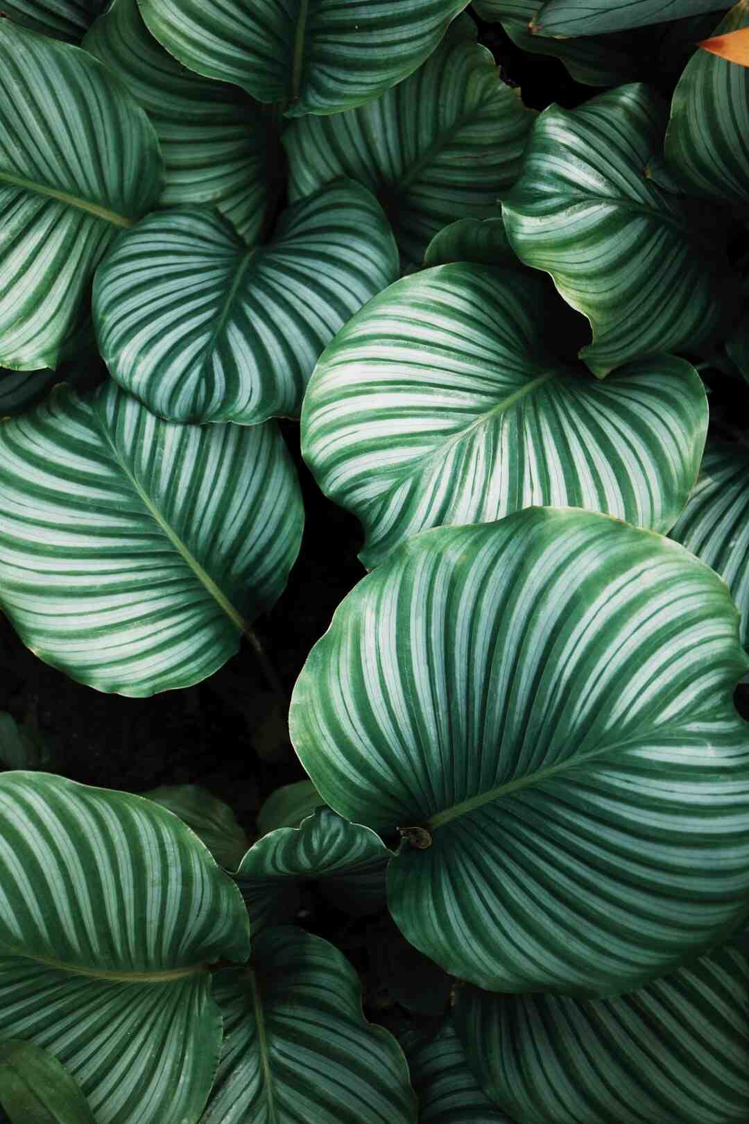 Quelle couleur pour les murs en 2022 ?