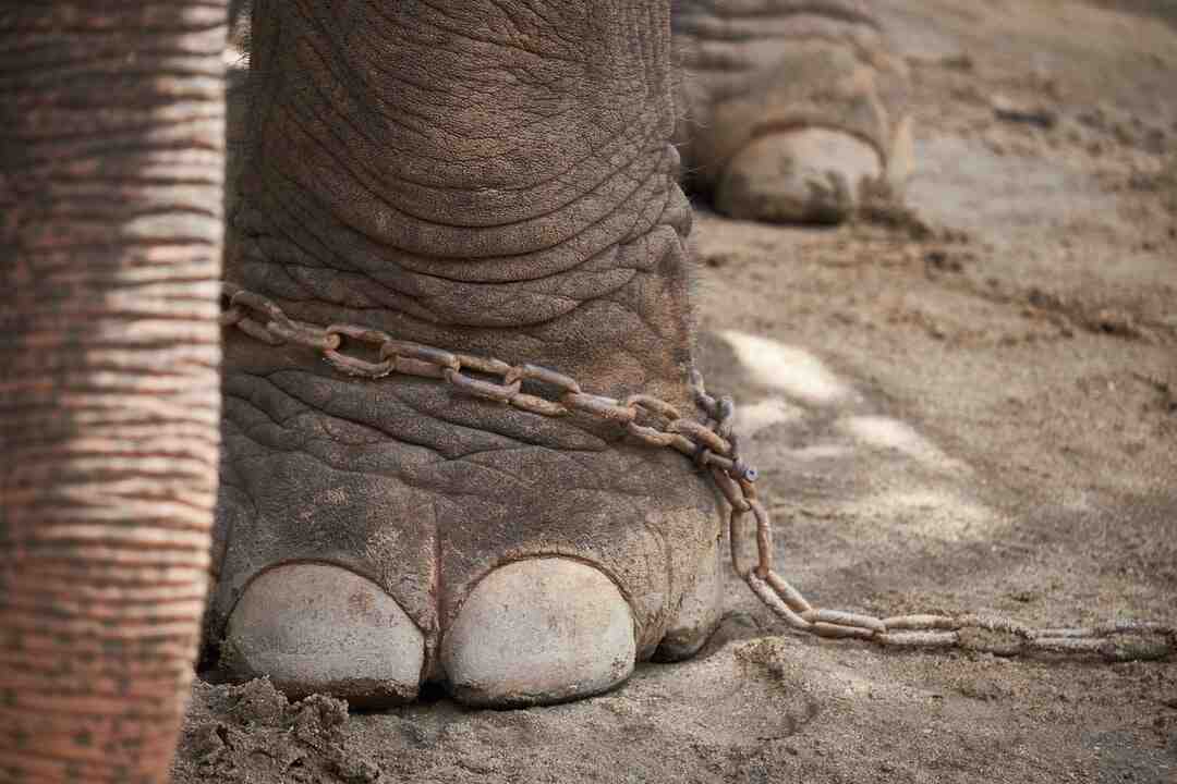 Quelle crème pour les engelures aux pieds ?