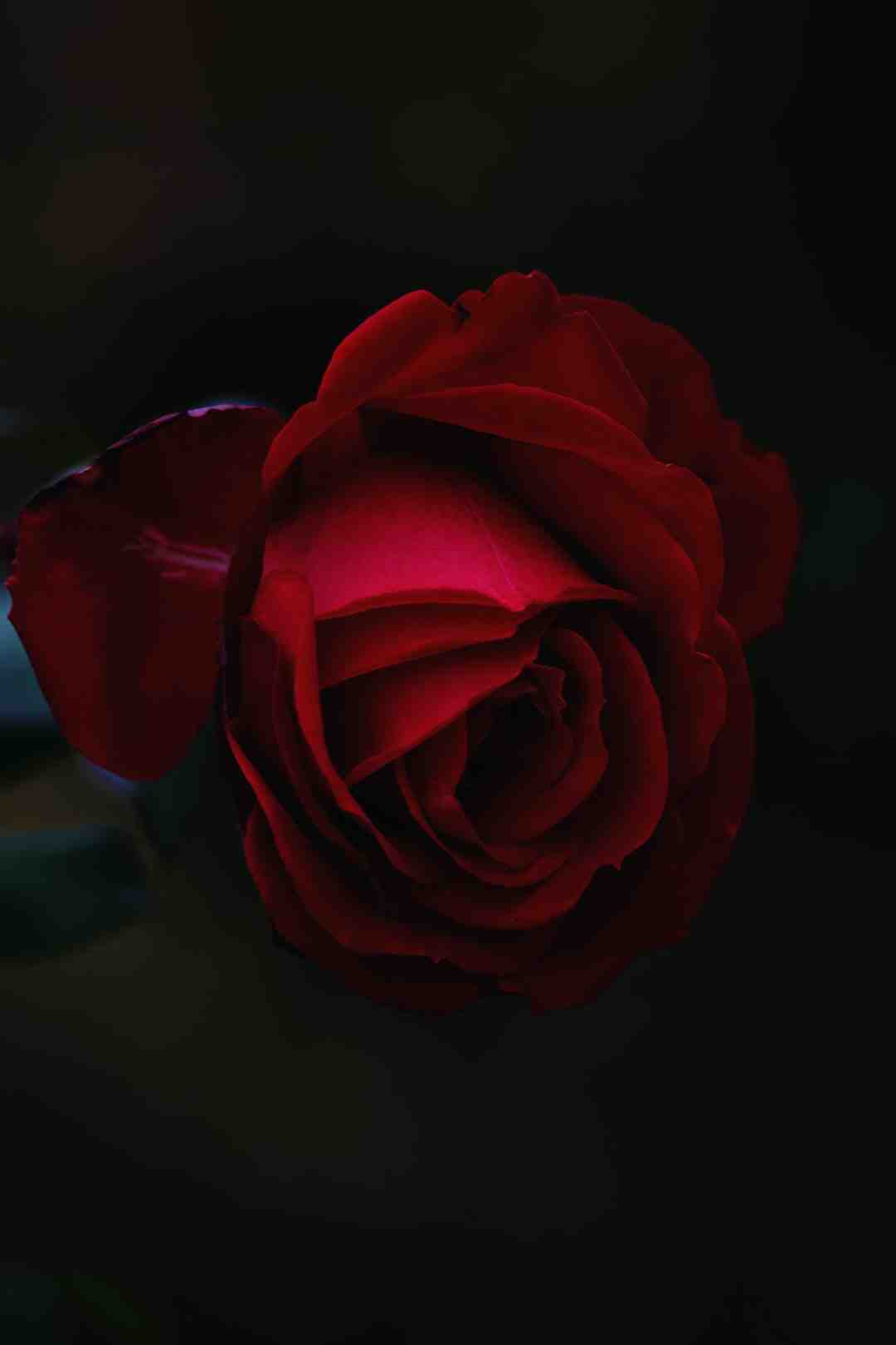 Quelle décoration pour un anniversaire ?