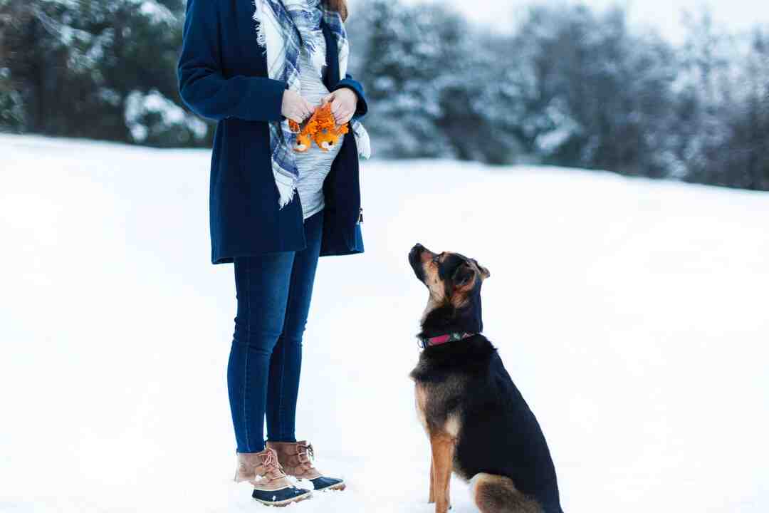 Quelle différence entre matelas latex et ressort ?