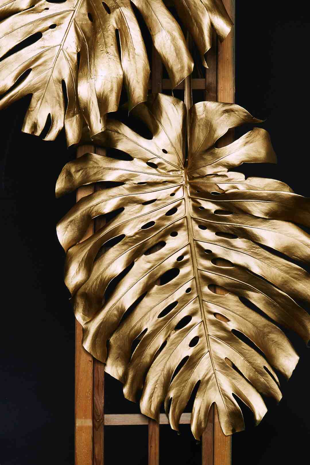 Quelle est la différence entre une carte bleue et une carte Gold ?