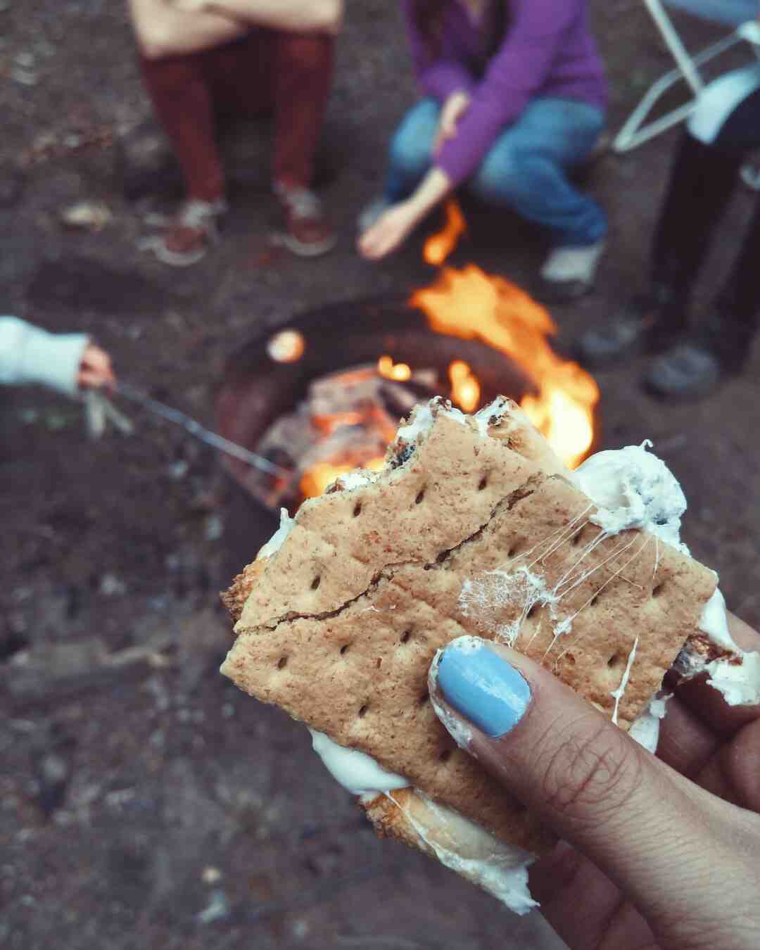 Quelle est la marque de Camping-car la plus vendue ?